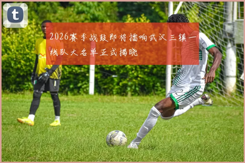 2026赛季战鼓即将擂响武汉三镇一线队大名单正式揭晓